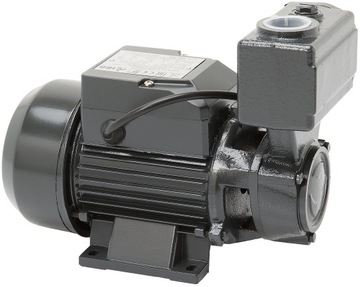 WZ 250 pompa powierzchniowa hydroforowa ogrodowa