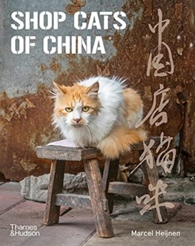 Shop Cats of China MARCEL HEIJNEN