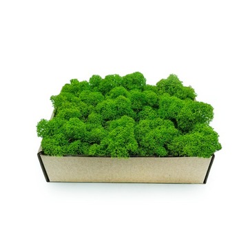 Финский крабовый мох очищенный 50г ЛЕТНЯЯ ТРАВА