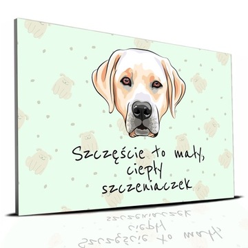 TABLICZKA ZIELONY 22X15CM LABRADOR SZCZĘŚCIE TO MAŁY CIEPŁY SZCZENIACZEK WZ