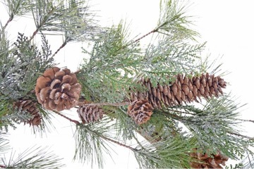 ВЕНОК НА ДВЕРЬ С КОНУСАМИ, БОЛЬШОЙ ЗЕЛЕНЫЙ