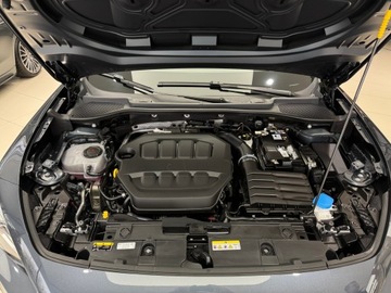 Cupra Formentor Crossover 2.0 TSI 190KM 2024 Cupra Formentor 4Drive DSG / Matrix LED / Fotele k, zdjęcie 19