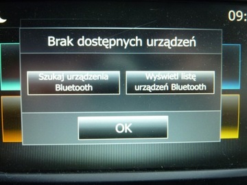 Renault Trafic III 2021 Renault Trafic 2.0 DCI, zdjęcie 26