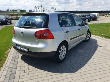 Volkswagen Golf V Hatchback 1.9 TDI 105KM 2004 Volkswagen Golf 1.9tdi 105KM 5 Drzwi Klima Raty, zdjęcie 34