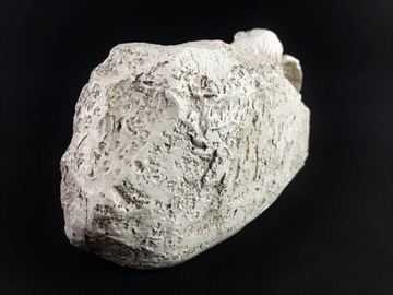 АНГЕЛ С ПОДСВЕТКОЙ АНГЕЛ СВЕТОДИОДНАЯ ВСТАВКА АНГЕЛ С ПОДСВЕТКОЙ АККУМУЛЯТОР С ПОДСВЕТКОЙ АНГЕЛ