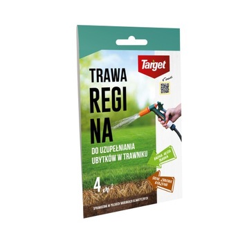 TRAWA DO UBYTKÓW REGINA UZUPEŁNIA UBYTKI NASIONA TRAW TARGET 100G