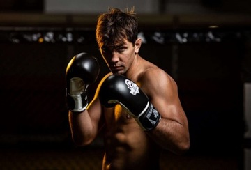 Тренировочные боксерские перчатки весом 8 унций ARB407A BUSHIDO