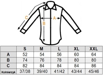 DANIEL BESSI Мужская рубашка fb732 Размер L 41/42