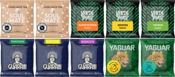 Набор Yerba Mate 500г Тыква Bombilla 10х50г