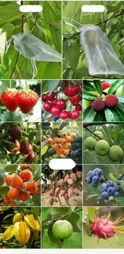 СУМКИ-ЧЕХЛЫ ДЛЯ ФРУКТОВ, ОВОЩЕЙ, ВРЕДИТЕЛЕЙ 100 шт.