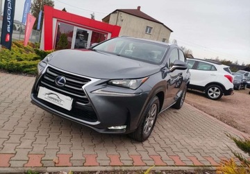 Lexus NX I SUV 300h 197KM 2015 Lexus NX Salon POLSKA Ladny GWARANCJA Zobacz 2.5 Hybryda 197KM, zdjęcie 11