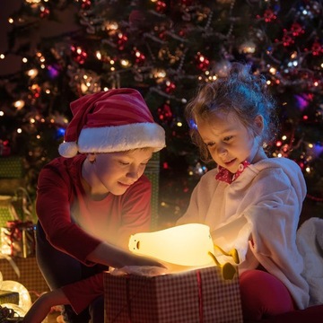 НОЧНАЯ ЛАМПА «УТКА» ДЛЯ ВАШЕГО СТОЛА, БЕСПРОВОДНАЯ, С РЕГУЛИРОВКОЙ РЕГУЛИРОВКИ, 1200 мАч, 5 В, USB, 21 СМ