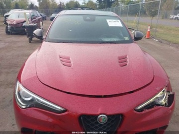 Alfa Romeo Stelvio 2021 Alfa Romeo Stelvio Quadrifoglio 2021 2.9l 2.9 Benzyna 505KM, zdjęcie 7