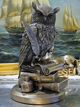 СОВА С ПЕРО НА КНИГАХ УЧИТЕЛЬ ВЕРОНЕЗЕ v