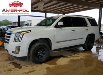 Cadillac Escalade III 2020 Cadillac Escalade Luxury 2020 6.2l 6.2 Benzyna 420KM