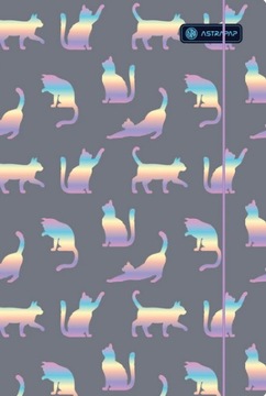 ШКОЛЬНАЯ КОРОБКА А4 С ЛАСТИКОМ ГОЛОГРАФИЧЕСКАЯ ДЕВОЧКИ АСТРА