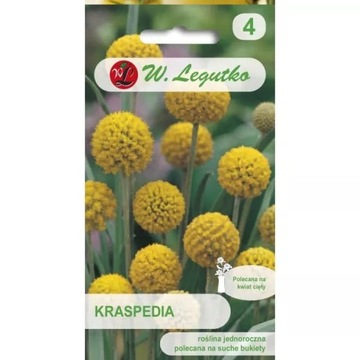 Nasiona Kraspedia 0,1g na suche bukiety Legutko