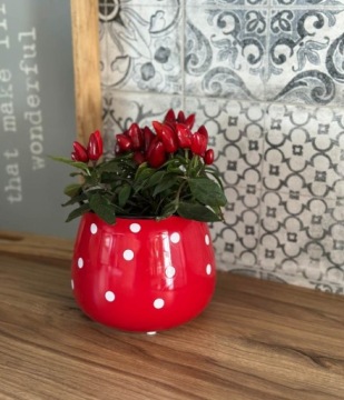 Керамическая крышка для горшка Deco в горошек 15x13 см зеленая