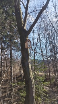 скворечник, скворечники, домик, кормушка 4 шт.