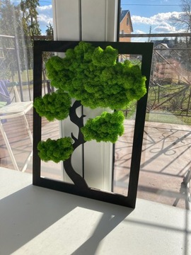 ПОДАРОЧНОЕ деревце ЖИЗНИ ДЕРЕВО СЧАСТЬЯ ЖИВАЯ КАРТИНА мох мох БОНСАЙ