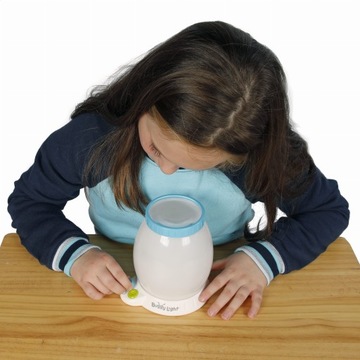 Ночник - Обсерватория насекомых Багги-Лайт