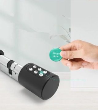 ВСТАВКА ДЛЯ ЗАМКА РУЧКИ ЦИЛИНДРИЧЕСКАЯ РУЧКА PIN BLUETOOTH TUYA PL 80MM