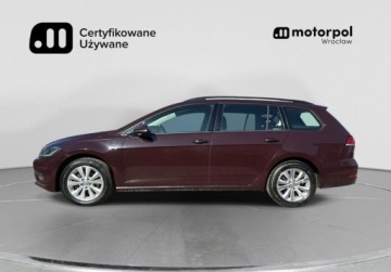 Volkswagen Golf VII Variant Facelifting 1.6 TDI-CR DPF BMT 115KM 2018 Volkswagen Golf Variant Comfortline Pakiety, ACC, ergoActive z masazem, G, zdjęcie 2
