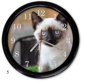НАСТЕННЫЕ ЧАСЫ котята БРИТАНСКАЯ ПЕРСИДСКАЯ КОШКА PL