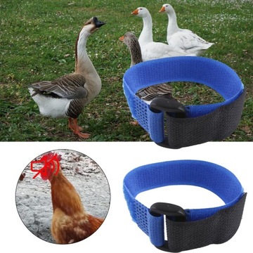 2 шт. Петух Анти-вороновий воротник Петушок шейный ремешок Анти-шумовой воротник Синий