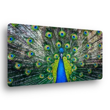 Szklana deska do krojenia 25x45 + Ceramika