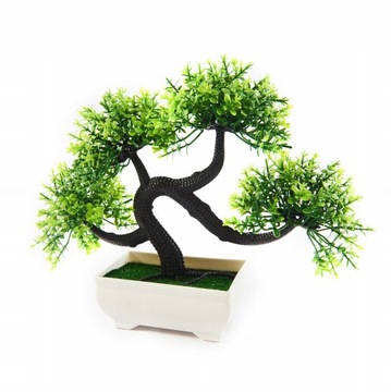 DRZEWKO BONSAI ROŚLINA OZDOBNA 20CM RÓŻNE KOLORY