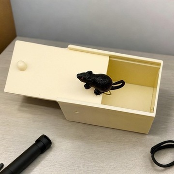 Strach Drewniane pudełko na zabawki Praktyczne pudełka na żarty Ręcznie robione zabawne prezenty Straszne myszy