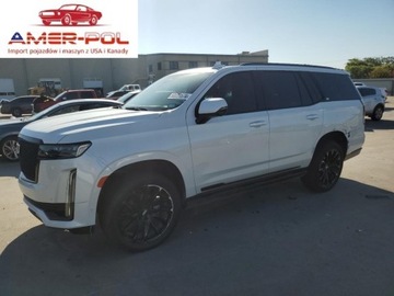 Cadillac Escalade III 2021 Cadillac Escalade Sport 2021 6.2l 6.2 Benzyna 420KM