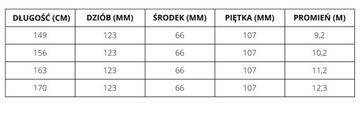 Лыжи HEAD WC Rebels E.SLR + PR 11 GW 2024 170 см