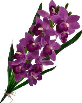 ORCHIDEA SZTUCZNY STORCZYK KWIATY DONICZKA LIŚCIE