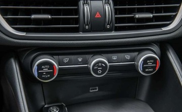 Alfa Romeo Giulia II Sedan 2.2 JTD 180KM 2016 Alfa Romeo Giulia 2.2D 180Ps Ledy Skora Bixenon Navi 1 wlasciciel BEZWYPAD, zdjęcie 22