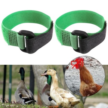2x шейный ободок с курицей и петушком, анти-зеленый1