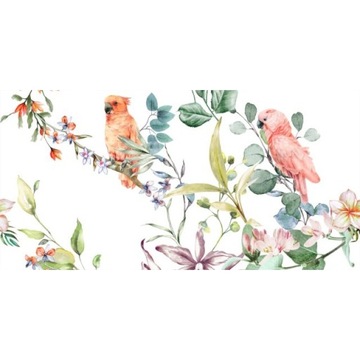 Płytka ścienna dekor PARROTS WHITE A połysk 30x60