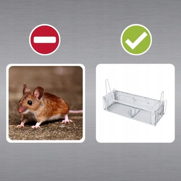 Ловушка более богатой мыши мыши грызун Мартен Кэдж Кейдж гуманитарная лапа