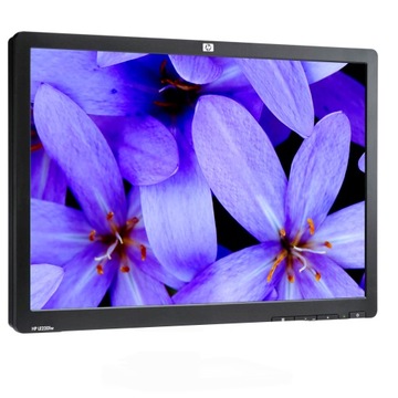 Niezawodny monitor HP LE2201W 22'' 1680 x 1050 LED IPS 5ms DP 60Hz