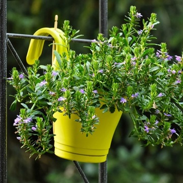 Садоводческий разрыхлитель Perlite 20л, субстрат для агропосевов, средство для укоренения