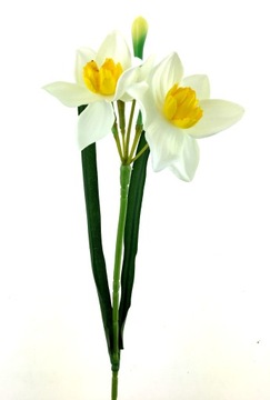 DARCISSUS Нарцисс, белый с жёлтой серединкой, ветка 47 см.