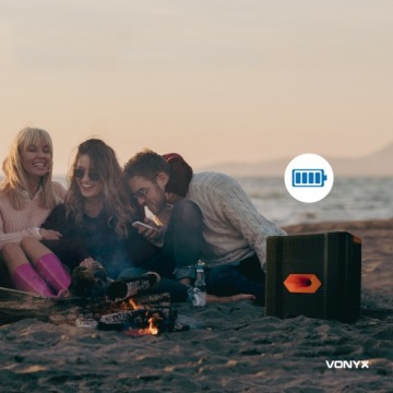 Мобильная колонка ROCK300 180 Вт BT микрофон Vonyx