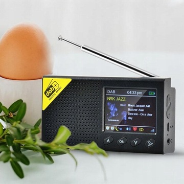 Портативное цифровое радио DAB Mini