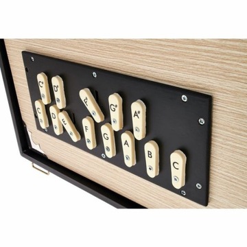 Томанн Натарадж Сурпети Шрути Бокс Мал профессиональный бокс