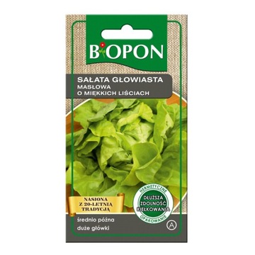 BIOPON NASIONA SAŁATA GŁOWIASTA MASŁOWA O MIĘKKICH LIŚCIACH DUŻE GŁÓWKI 1G