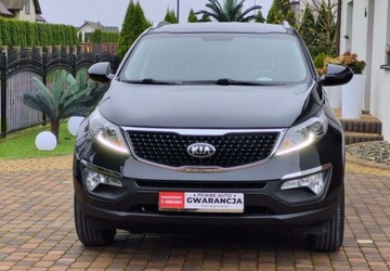 Kia Sportage III SUV Facelifting 1.6 GDI 135KM 2015 Kia Sportage Kia Sportage 1.6 Benzyna 135KM, zdjęcie 2