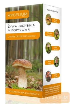 Mikoryza do drzew LIŚCIASTYCH żywa grzybnia MYCELIUM