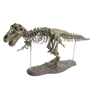 Model szkieletu dinozaura 4D montaż szkieletu zwierzęcia rysunek zabawki ed