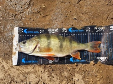 SUPER LURE SAVAGE GEAR CANNIBAL-6,8 см